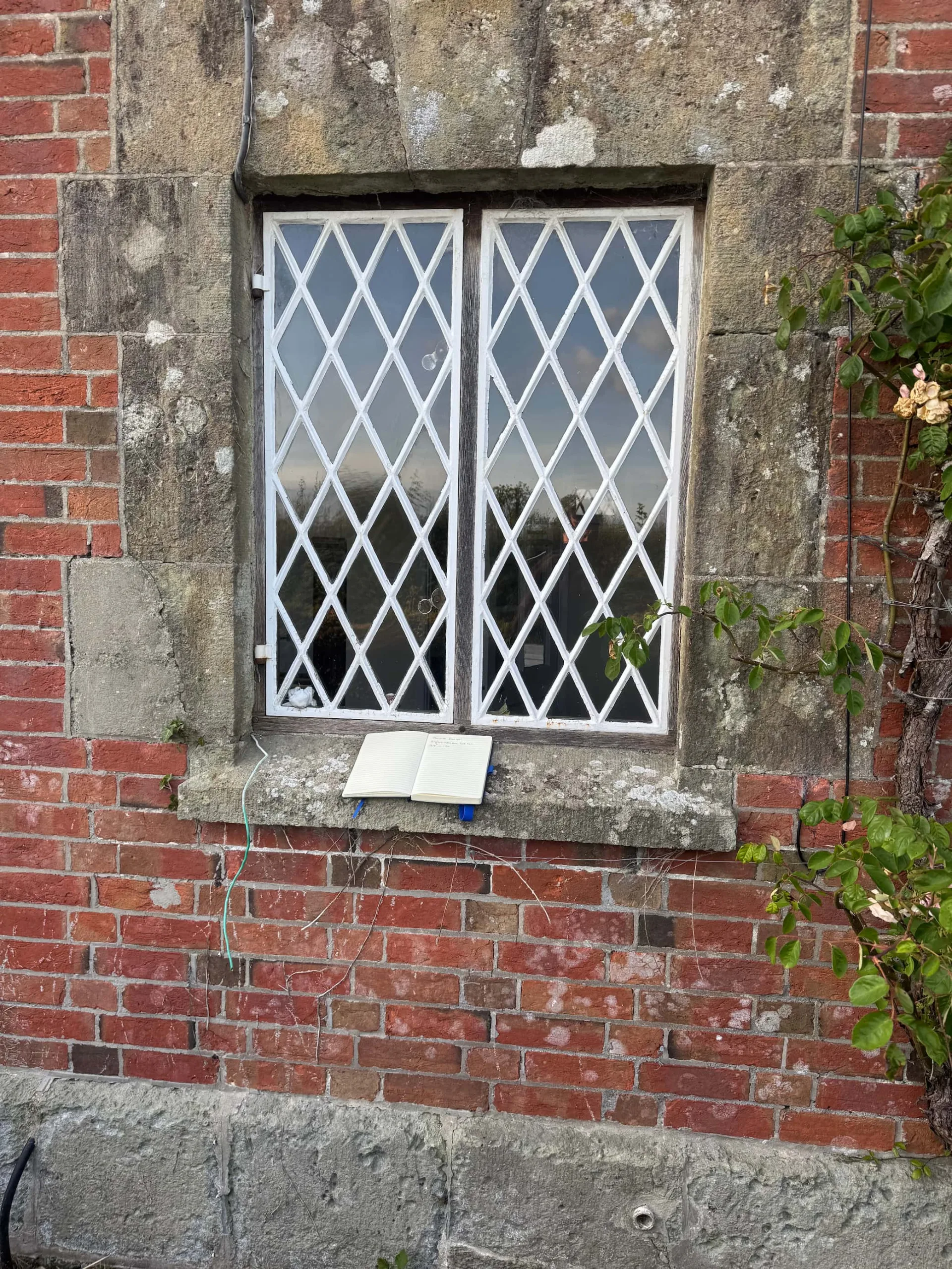 Timber windows for a home in Dorset.